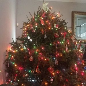 Meet your Posher, Katkatie